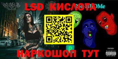a pvp Камышлов