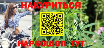 a pvp Камышлов