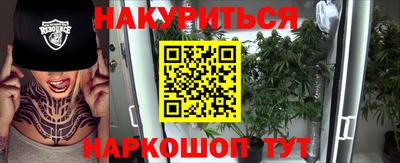 a pvp Камышлов