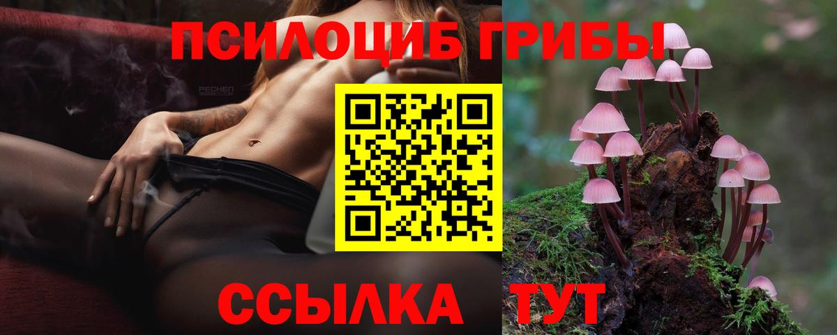 Елизово  Псилоцибиновые грибы GOLDEN TEACHER  Вход с VPN 